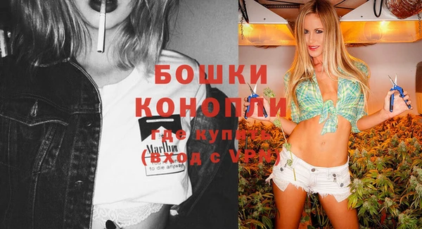 крисы Сосновка